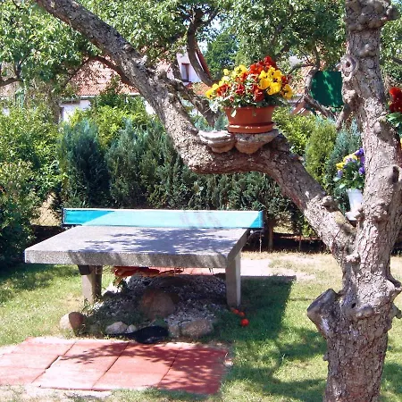 Haus Schumann - Ostsee - Halbinsel Darss ヴィーク