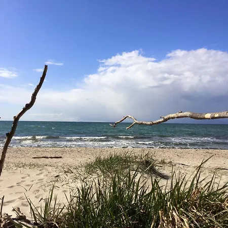 Haus Schumann - Ostsee - Halbinsel Darss