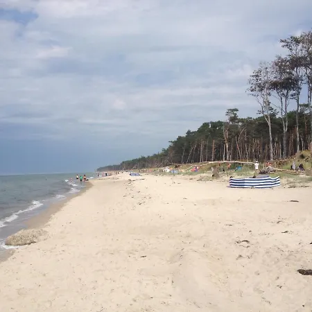 Апартаменты Haus Schumann - Ostsee - Halbinsel Darss Вик