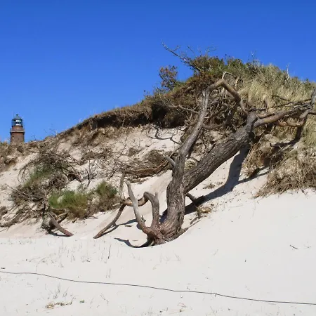 Haus Schumann - Ostsee - Halbinsel Darss * ヴィーク