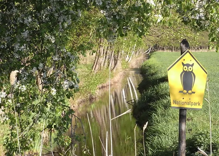 Haus Schumann - Ostsee - Halbinsel Darss Апартаменты