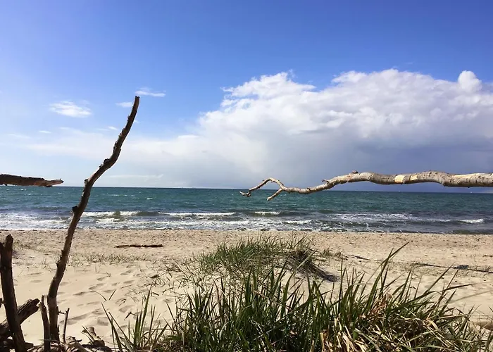 Haus Schumann - Ostsee - Halbinsel Darss