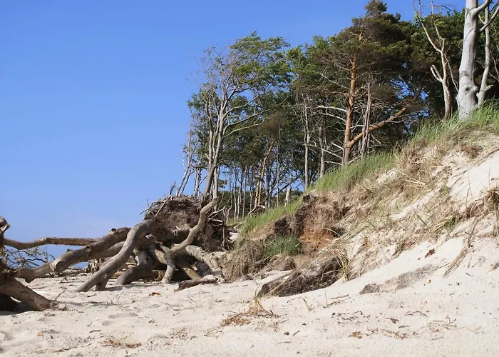 Haus Schumann - Ostsee - Halbinsel Darss Апартаменты *